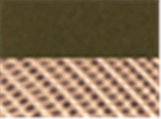 Moss/ Khaki