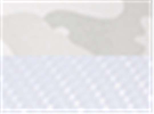 Multicam Alpine/ White