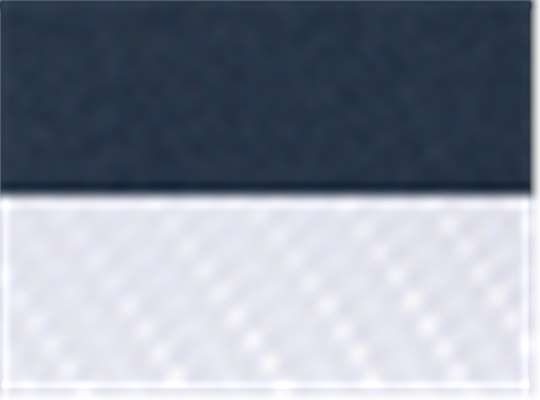 Navy/ White