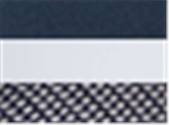 Navy/ White/ Navy
