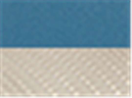 Steel Blue/ Silver