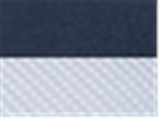 Navy/ White