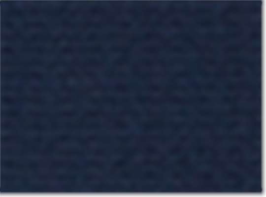 Collegiate Navy