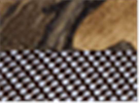 Realtree Edge/ Brown