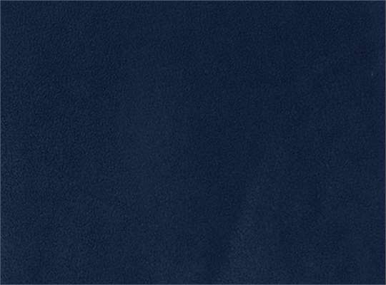 Collegiate Navy