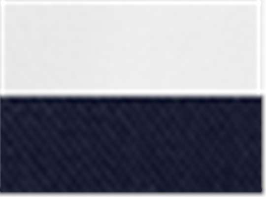 White/ Navy
