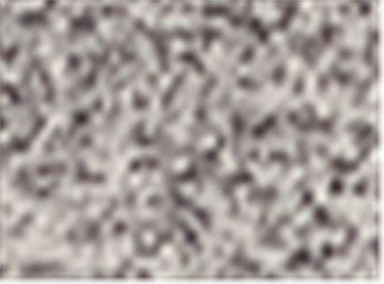 Dark Stone Heather