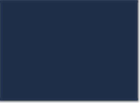 Collegiate Navy