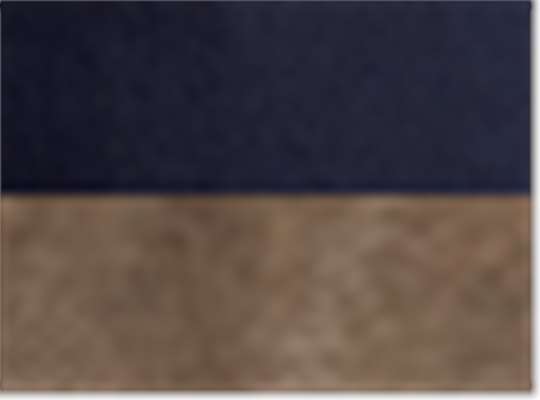 Navy/ Brown