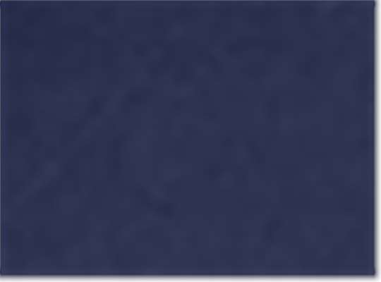 Devon & Jones DG530W, Wovens, Navy