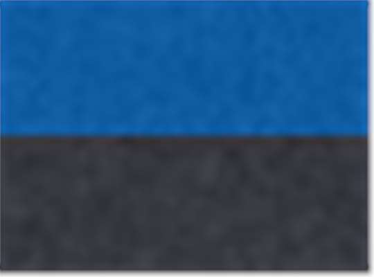 True Royal/ Carbon