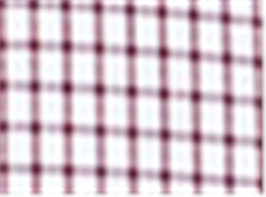 Devon & Jones DG540W, Wovens, Burgundy/ White