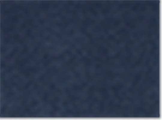 Collegiate Navy