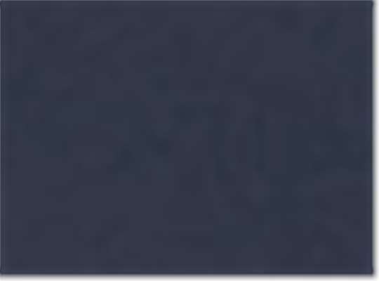Classic Navy