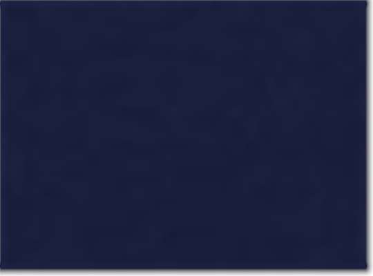 Classic Navy