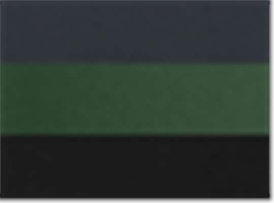 Harriton M385, 13951 Men's Advantage Snag Protection Plus Il Colorblock Polo, Dark Charcoal/ Dark Green/ Black