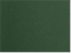 Harriton M348W, 13856 Women's Advantage Snag Protection Plus Polo, Dark Green