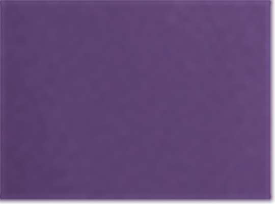 Harriton M348W, 13856 Women's Advantage Snag Protection Plus Polo, Team Purple