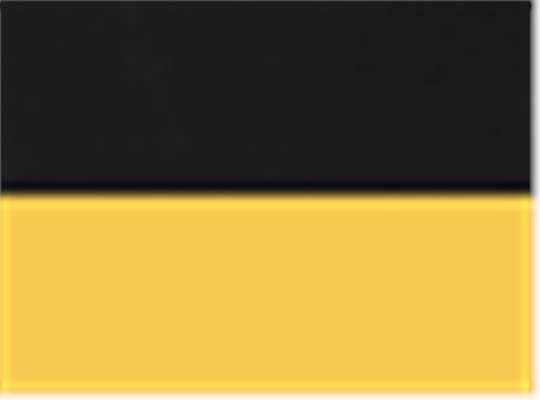 Harriton 13917, M786w, Black/ Sunray Yellow