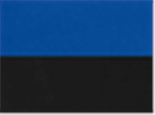 Harriton 13917, M786w, True Royal/ Black