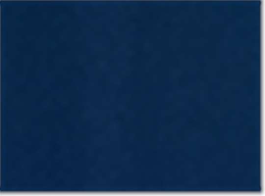 Sport Dark Navy