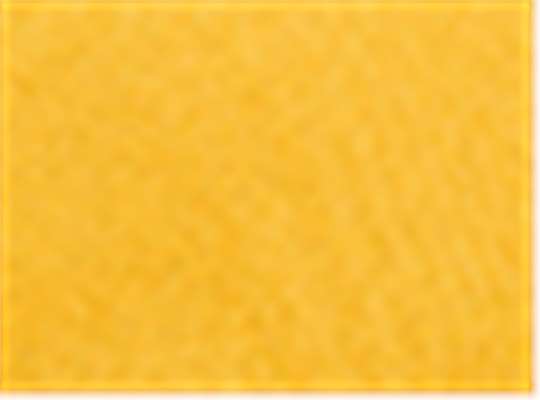 Sport Athletic Gold