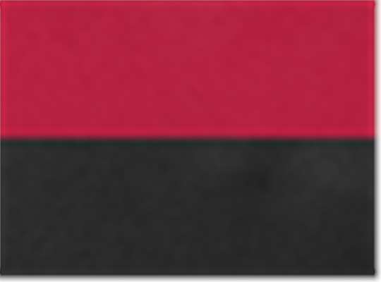 Sport Red/ Black