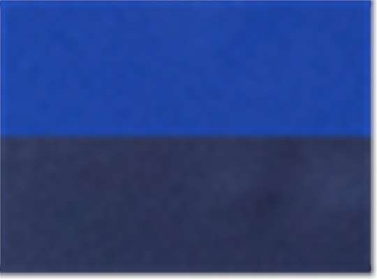 Sport Royal/ Sport Dark Navy