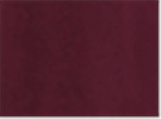 Under Armour 1376842, T-Shirts - Premium, Maroon/ White