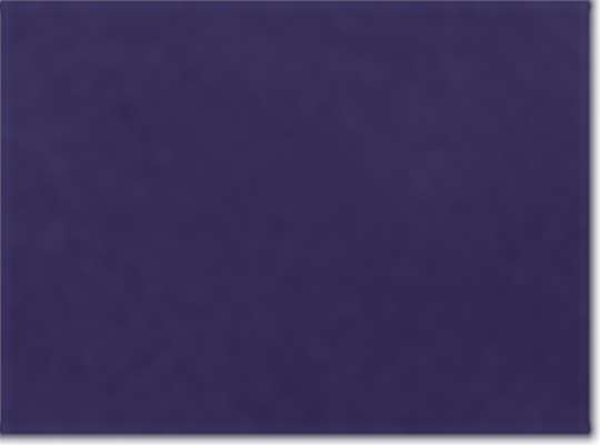 Under Armour 1370399, Polos, Purple/ White