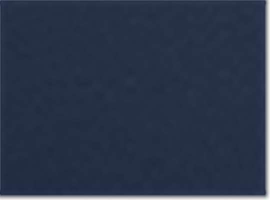 Midnight Navy/ White