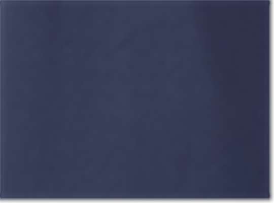Midnight Navy/ Midnight Navy