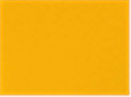 Sport Athletic Gold