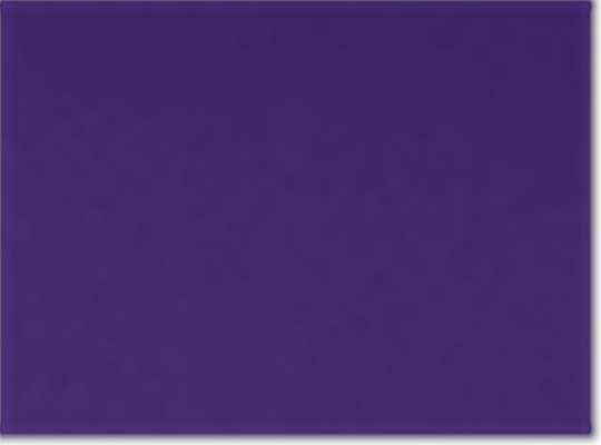 Sport Purple