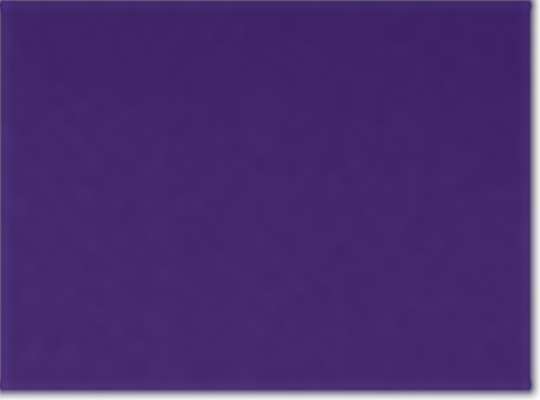 Sport Purple