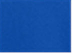 Under Armour 1370431, Polos, Royal/ White