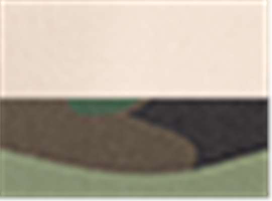 Natural/ Camo Green