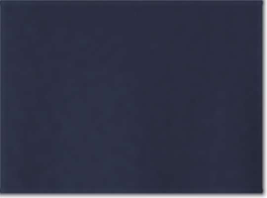 Classic Navy
