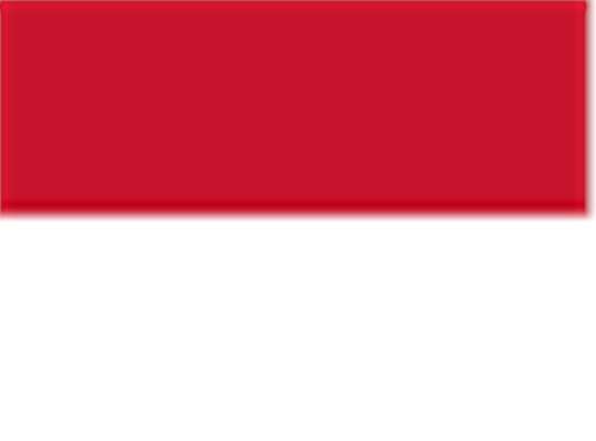 Sport Red/ White