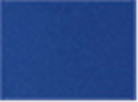 Sport Royal