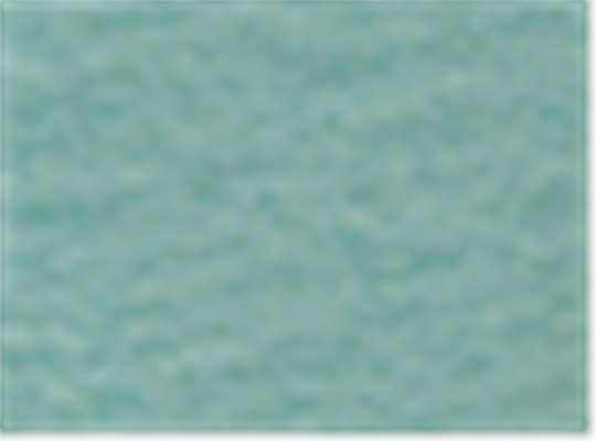 Sport Forest Heather/ White