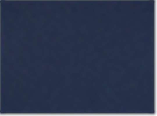 Collegiate Navy