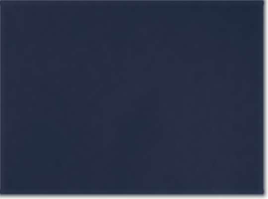 Collegiate Navy