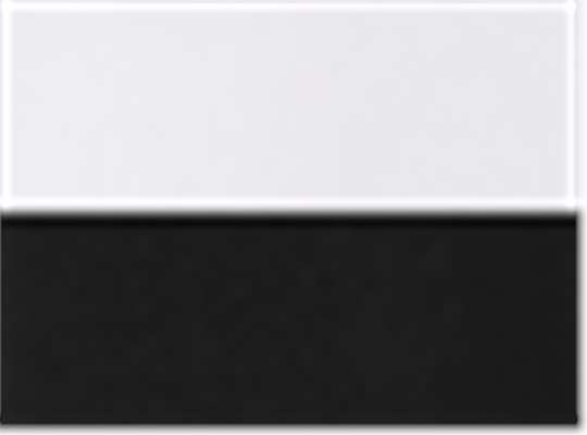 White/ Black
