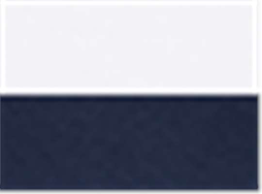 White/ Navy