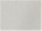 Richardson PTS20, 6438 Pulse R-flex, Grey