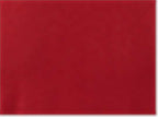 BELLA + CANVAS 3001, T-Shirts - Premium, Canvas Red