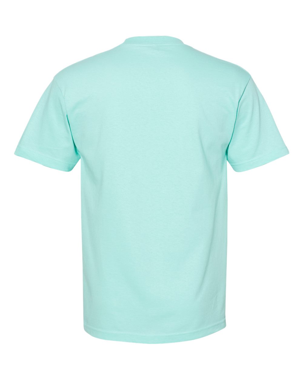 American Apparel 1301, T-Shirts - Premium, Celadon