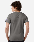 Champion T425, Unisex Classic T-shirt, Stone Grey