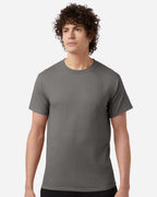 Champion T425, Unisex Classic T-shirt, Stone Grey
